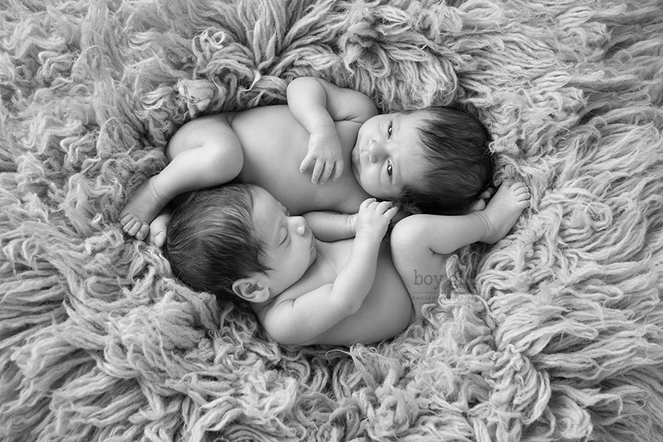 Toronto Twin Newborn Photography Session www.boygirlphotography.com