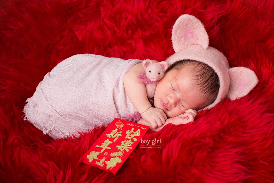 Toronto Newborn Portrait,  Chinese New Year, Year of the Pig Newborn Prop, Pig, Newborn Baby